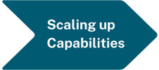 Scaling up-1