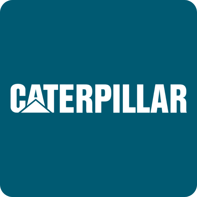 Caterpillar white