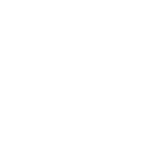 Singer Capital Markets white